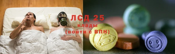 твердый Козельск