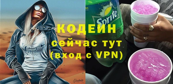 твердый Козельск