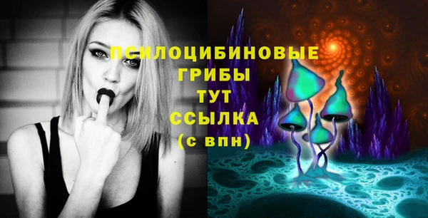индика Киреевск