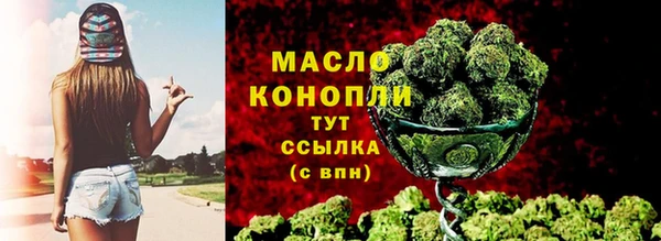 твердый Козельск