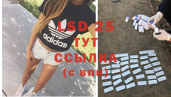 2c-b Корсаков
