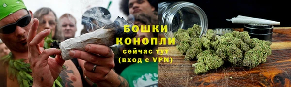 индика Киреевск