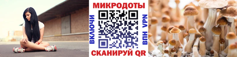 Галлюциногенные грибы прущие грибы Котельнич